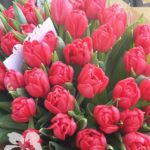 тюльпаны фото цветов букеты